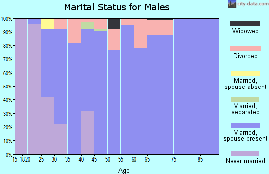 Zip code 45325 marital status for males