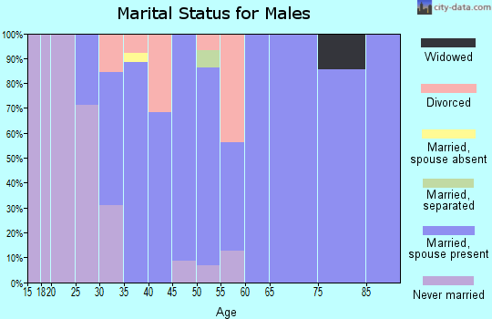 Zip code 45328 marital status for males
