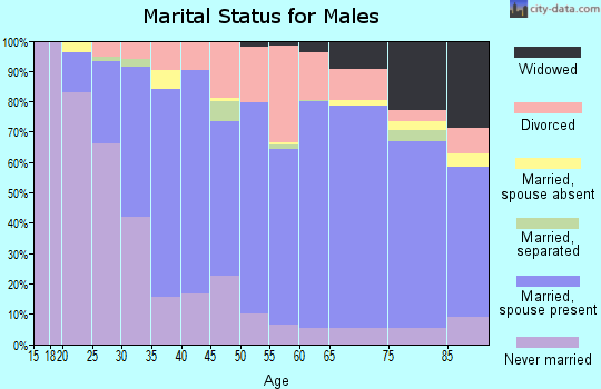 Zip code 45331 marital status for males