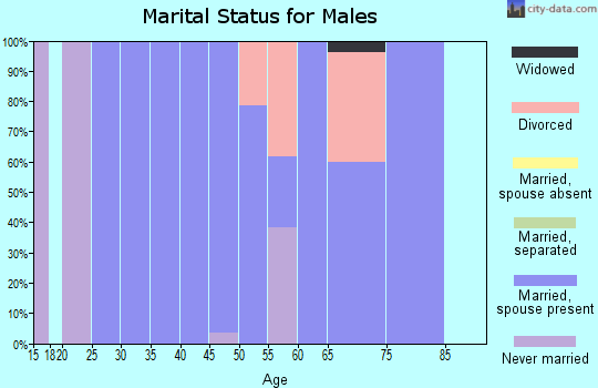 Zip code 45333 marital status for males