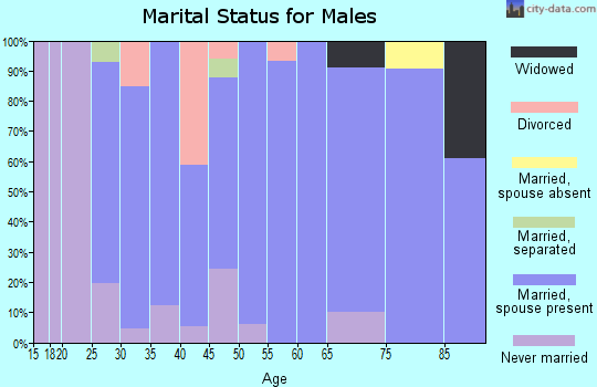Zip code 45334 marital status for males