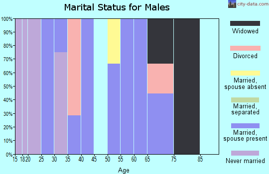 Zip code 45336 marital status for males