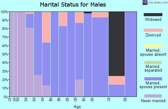 Zip code 45337 marital status for males
