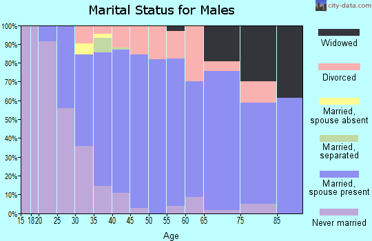 Zip code 45338 marital status for males