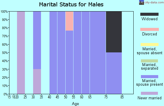 Zip code 45340 marital status for males