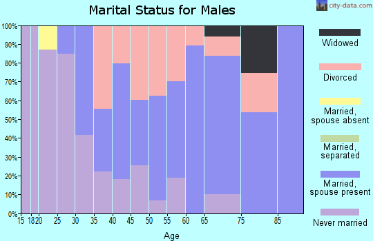 Zip code 45341 marital status for males
