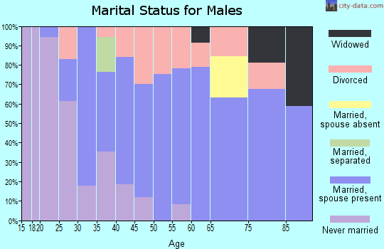 Zip code 45345 marital status for males