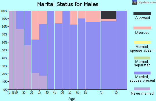 Zip code 45346 marital status for males