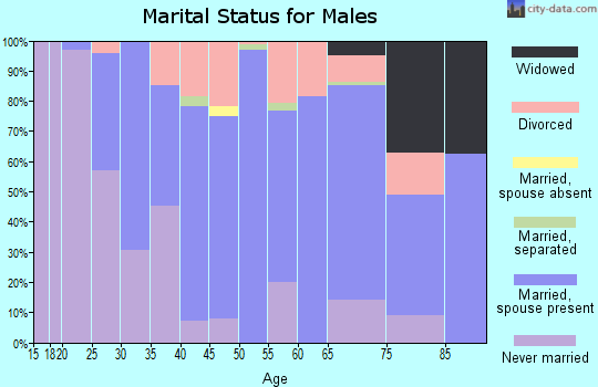 Zip code 45347 marital status for males