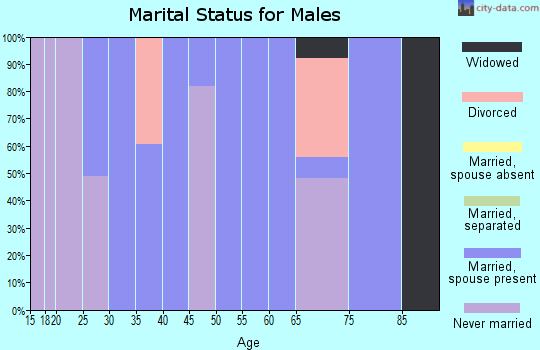 Zip code 45348 marital status for males