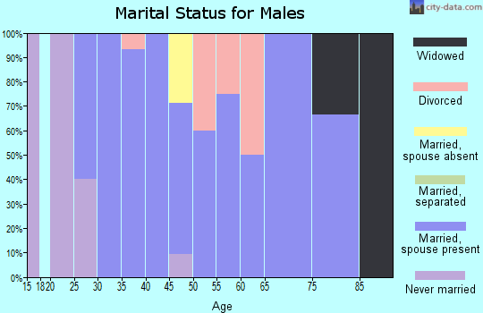 Zip code 45349 marital status for males
