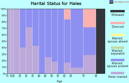 Zip code 45351 marital status for males