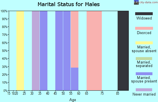 Zip code 45353 marital status for males