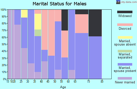 Zip code 45354 marital status for males