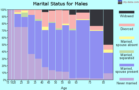 Zip code 45356 marital status for males