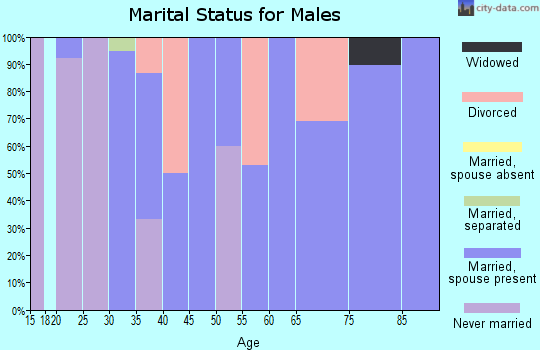 Zip code 45358 marital status for males