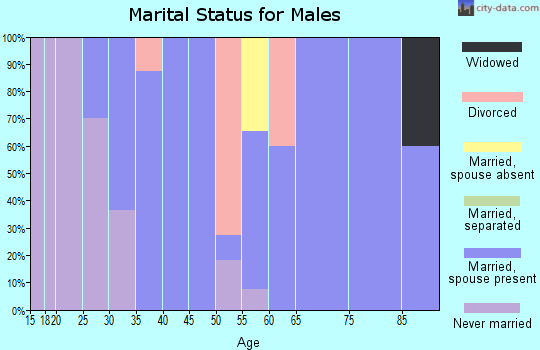 Zip code 45360 marital status for males