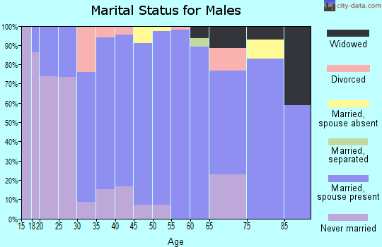 Zip code 45363 marital status for males