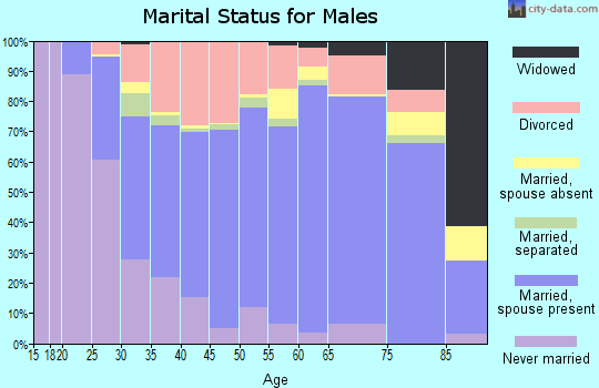 Zip code 45365 marital status for males