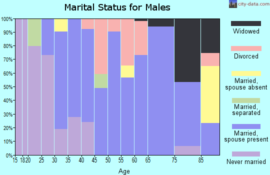 Zip code 45369 marital status for males