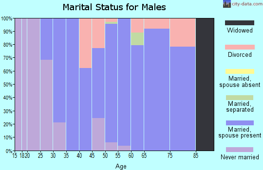 Zip code 45370 marital status for males
