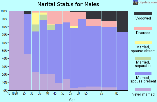 Zip code 45371 marital status for males