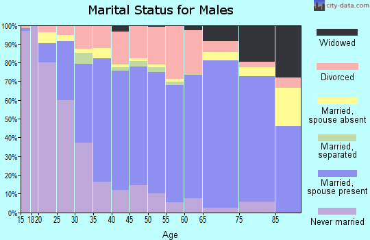 Zip code 45373 marital status for males