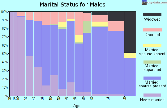Zip code 45377 marital status for males