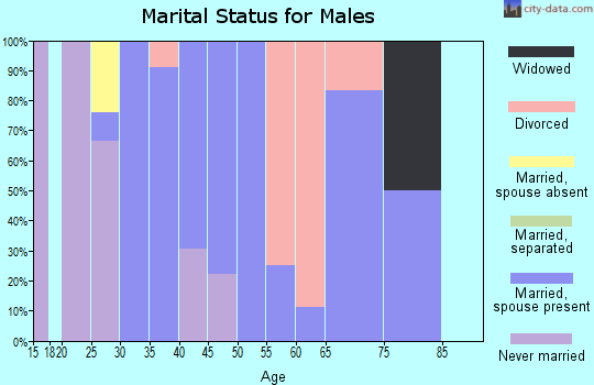 Zip code 45378 marital status for males