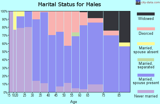 Zip code 45381 marital status for males