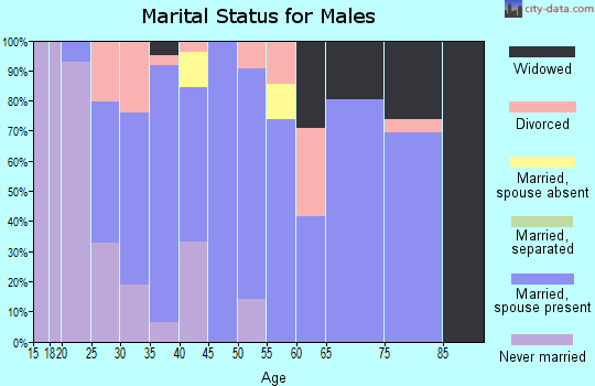 Zip code 45382 marital status for males