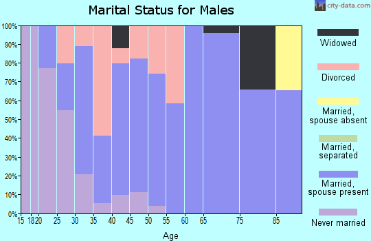 Zip code 45383 marital status for males