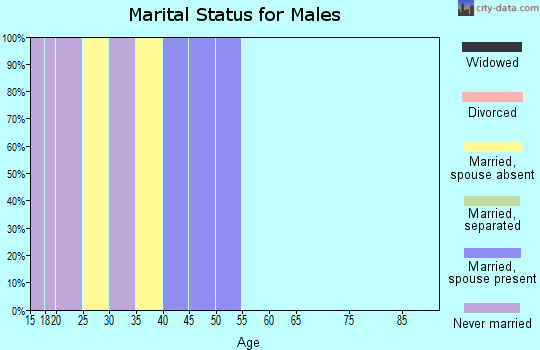 Zip code 45384 marital status for males