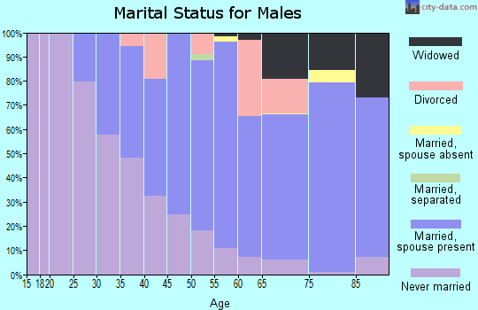 Zip code 45387 marital status for males