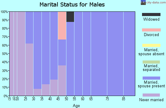 Zip code 45388 marital status for males