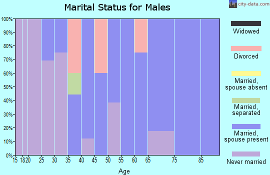 Zip code 45389 marital status for males