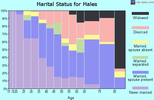 Zip code 45403 marital status for males
