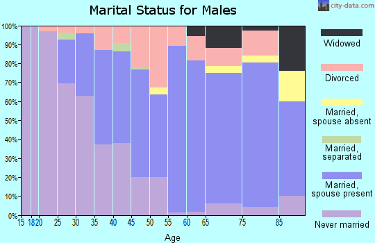 Zip code 45415 marital status for males
