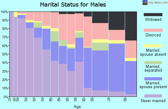 Zip code 45417 marital status for males