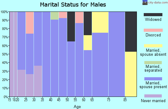 Zip code 45418 marital status for males