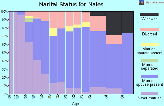 Zip code 45419 marital status for males