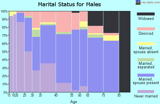 Zip code 45427 marital status for males