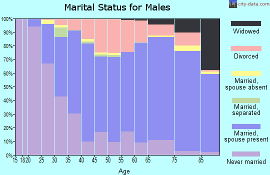 Zip code 45429 marital status for males