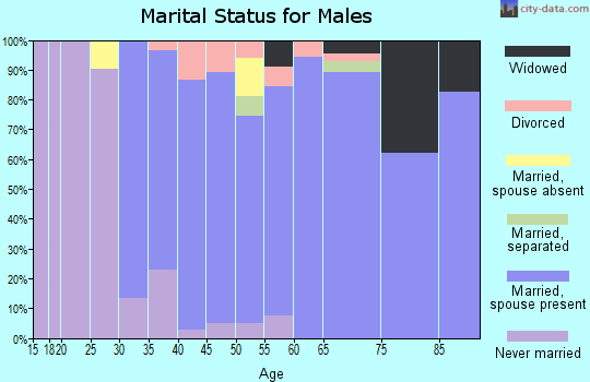 Zip code 45434 marital status for males