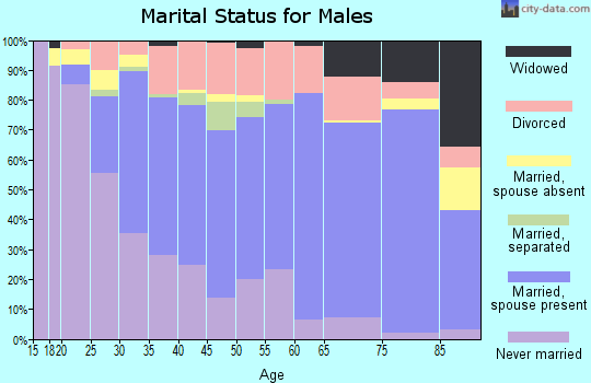Zip code 45503 marital status for males