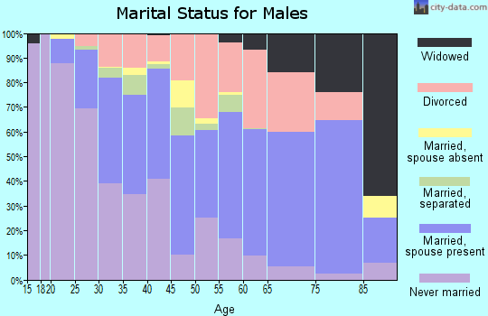 Zip code 45505 marital status for males