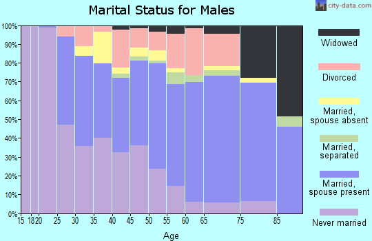 Zip code 45506 marital status for males