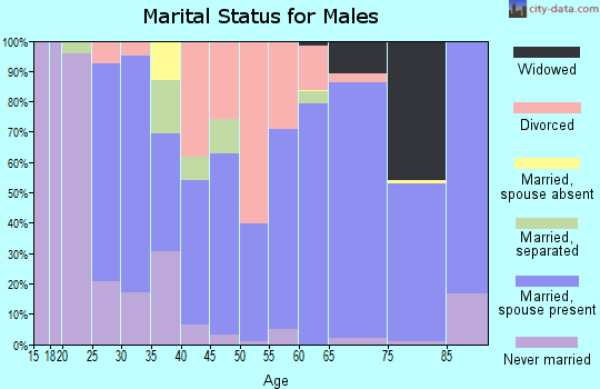 Zip code 45612 marital status for males