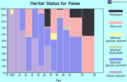 Zip code 45613 marital status for males