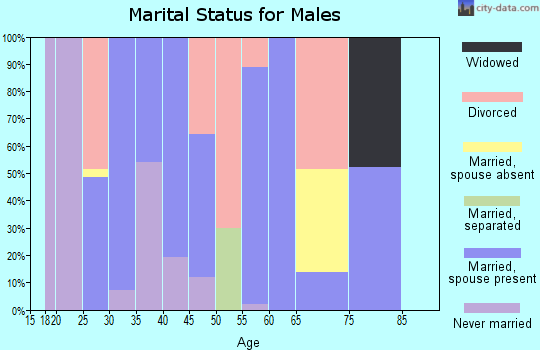Zip code 45616 marital status for males